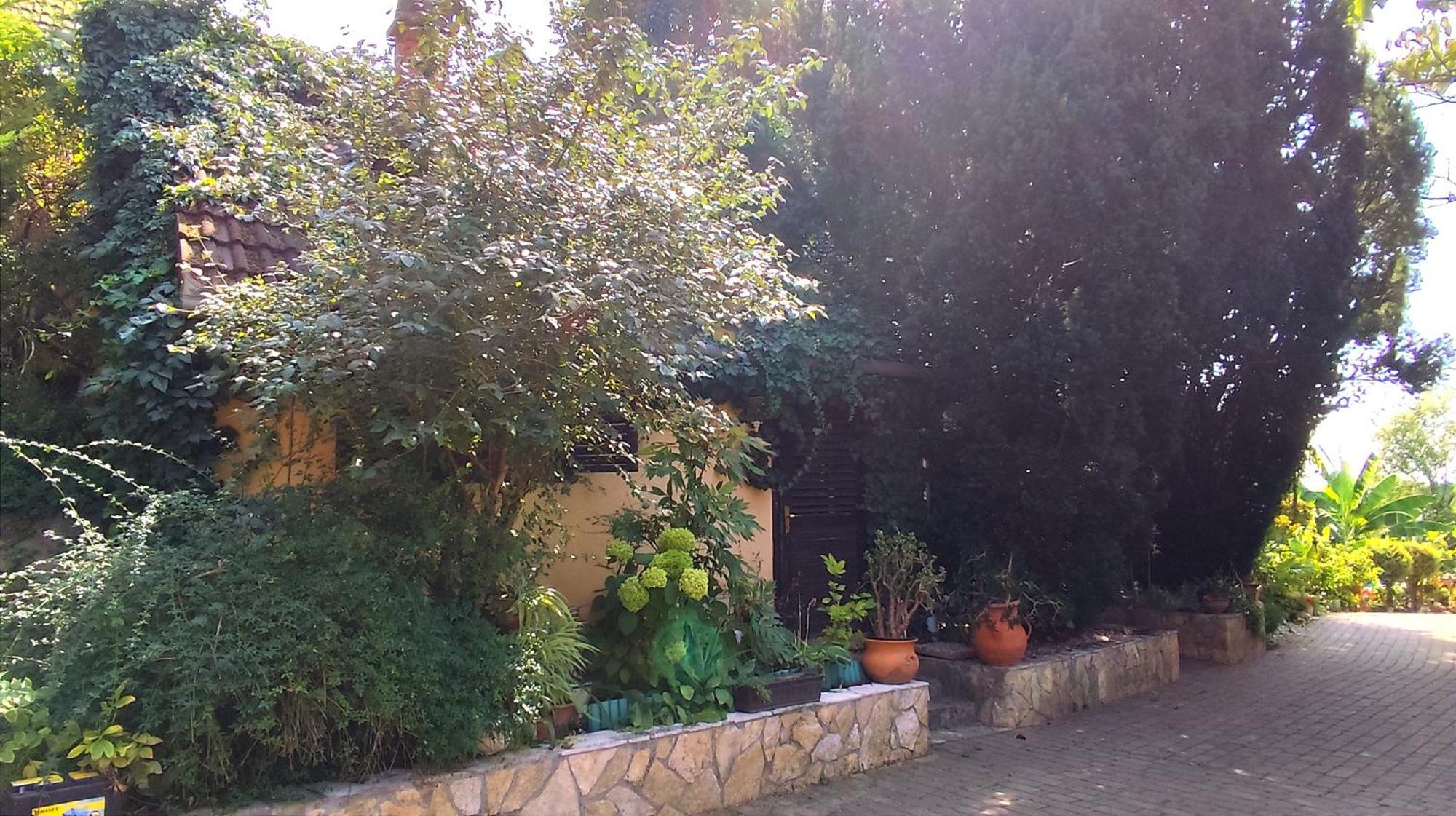 Katica Vendeghaz Apartment Siofok Exterior photo